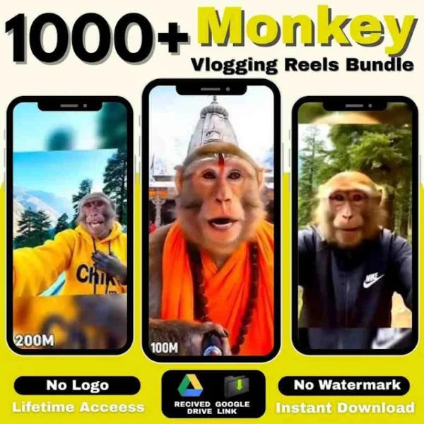 Monkey AI Videos Bundle